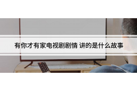 赤城赤城的要账公司在催收过程中的策略和技巧有哪些？